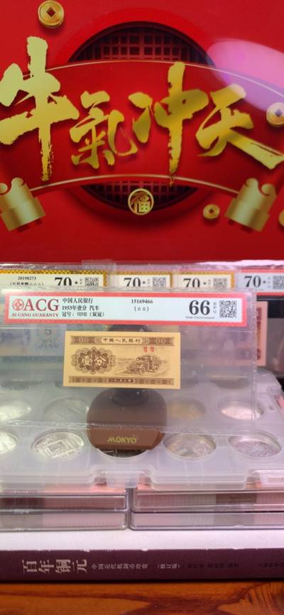 王中王致家一肖，解析背后的故事與奧秘，揭秘王中王致家一肖背后的故事與奧秘