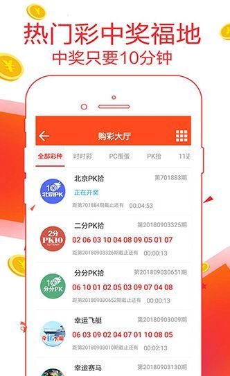 王中王一肖恃com，深度解析與SEO優(yōu)化策略，王中王一肖恃com，全面深度解析與SEO優(yōu)化策略探討