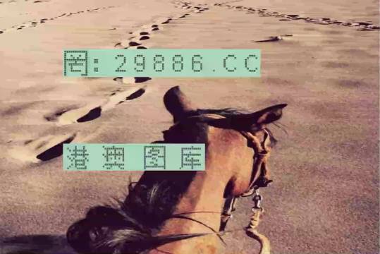 香港特馬資料王中王24期，深度解析與探索，香港特馬資料王中王深度解析與探索，第24期探索之旅