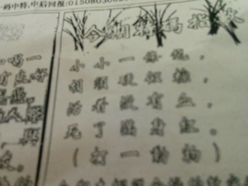 揭秘劉伯溫平特一肖圖——探尋神秘預(yù)測(cè)背后的真相，揭秘劉伯溫平特一肖圖，神秘預(yù)測(cè)背后的真相探索