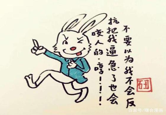 一肖不中賠多少倍，深度解析與策略建議，一肖不中賠倍深度解析及策略建議