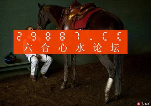 澳門 第11頁