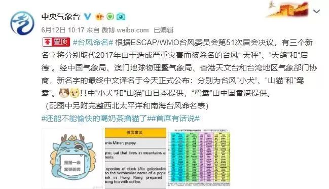 新澳門必中三肖三碼三期必開劉伯，揭秘彩票背后的秘密與策略，揭秘彩票背后的秘密與策略，劉伯的新澳門三期必開三肖三碼預(yù)測技巧
