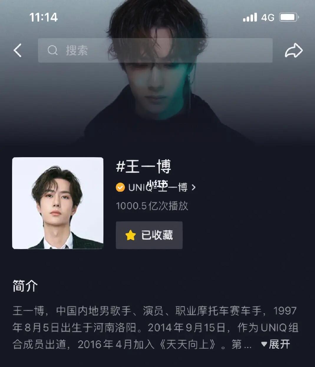王中王一肖內(nèi)部資料詳解，王中王一肖內(nèi)部資料深度解析