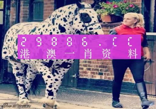 香港網(wǎng)址王中王一肖中特，探索與解析，香港網(wǎng)址王中王一肖中特，深度探索與解析