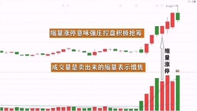 王中王一肖平碼，揭秘背后的故事與SEO策略，王中王一肖平碼背后的故事與SEO策略揭秘