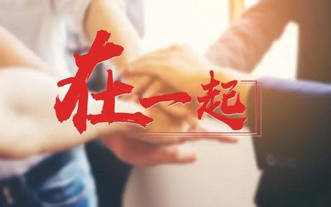 王中王一字一句解一肖——深度解析生肖奧秘，深度解析生肖奧秘，王中王揭示生肖秘密