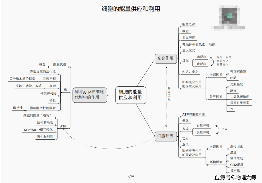 揭秘劉伯溫四肖三期內(nèi)必出一，神秘預(yù)言背后的真相，劉伯溫四肖三期預(yù)言真相揭秘，神秘預(yù)言背后的必然與偶然