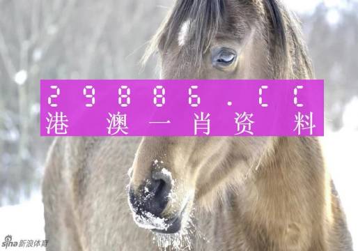 澳門一肖一碼背后的故事，一個關于精準預測與傳奇的揭秘，澳門一肖一碼傳奇背后的精準預測與揭秘之旅