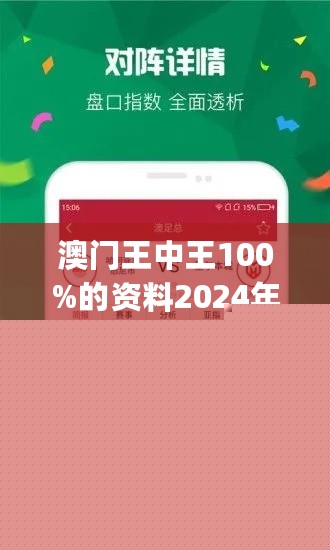 王中王網(wǎng)站一肖，探索與SEO優(yōu)化策略，王中王網(wǎng)站一肖，深度探索與SEO優(yōu)化策略實(shí)踐