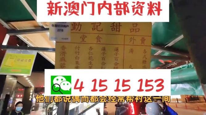 新澳門單雙肖期期，探索與解析，澳門單雙肖期期探索與解析指南