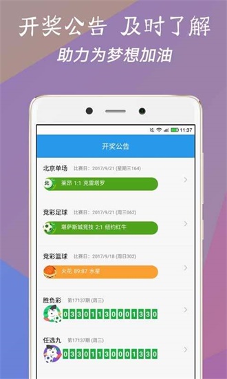 澳門今一必中一肖一碼一肖，揭秘彩票背后的秘密與策略，揭秘彩票背后的秘密與策略，澳門今一必中一肖一碼一肖探秘