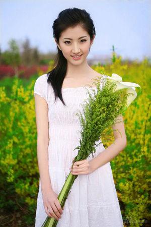 新澳門(mén)生肖走勢(shì)圖精準(zhǔn)版，解讀與SEO策略，新澳門(mén)生肖走勢(shì)圖精準(zhǔn)解讀與SEO策略揭秘
