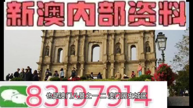 今晚澳門買什么最好？全方位解讀帶你走向勝利之路，澳門今晚買什么最佳？全方位指南引領(lǐng)你走向勝利之路