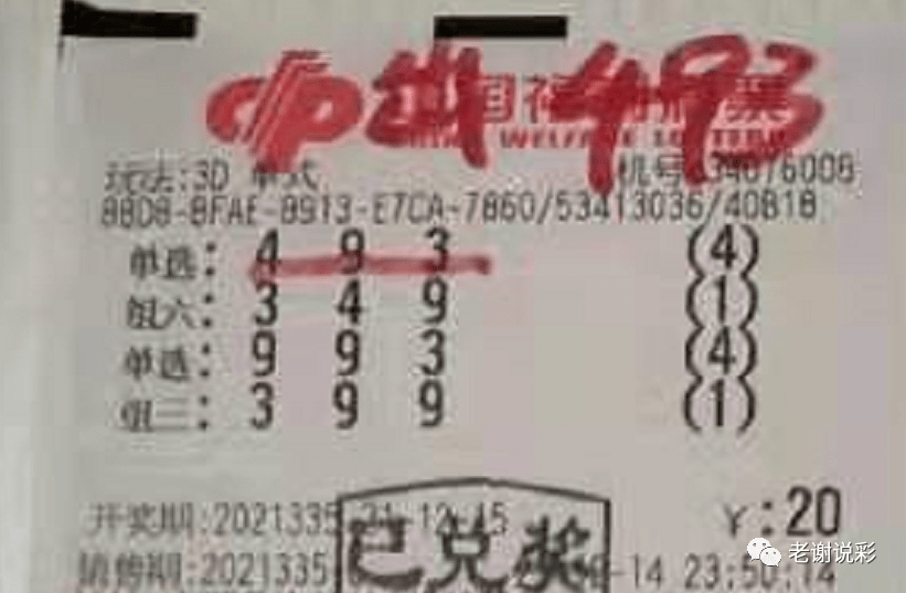 新奧門彩天天開獎(jiǎng)資料一網(wǎng)羅萬象，揭秘彩票奧秘，揭秘彩票奧秘，新奧門彩天天開獎(jiǎng)資料一網(wǎng)羅萬象