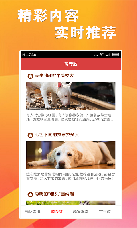7777788888跑狗軟件免費下載指南，7777788888跑狗軟件免費下載指南大全