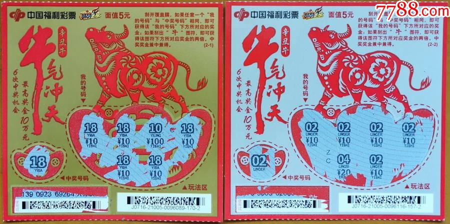 王中王19期指一生肖——探尋背后的奧秘與意義，王中王19期指一生肖，背后的奧秘與意義探尋