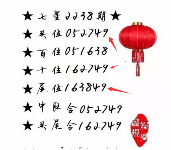 王中王一肖尾數(shù)資料，深度解析與探索，王中王一肖尾數(shù)資料深度解析與探索之旅