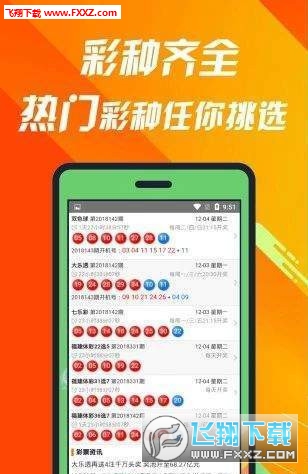 揭秘660678C0m王中王三肖一碼，真相與奧秘，揭秘，王中王三肖一碼真相與奧秘探索