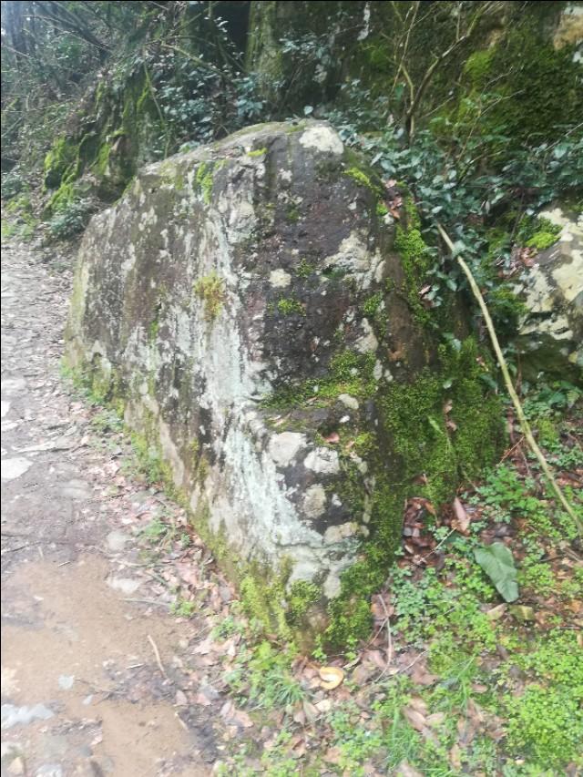 揭秘四不像劉伯溫一肖圖——探尋背后的神秘故事與SEO奧秘，揭秘四不像劉伯溫一肖圖背后的神秘故事與SEO奧秘探索