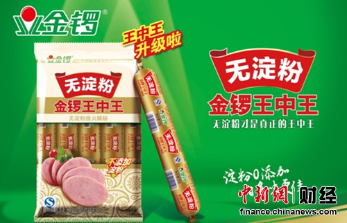 王中王一肖中特別，探尋杰出人物背后的故事，杰出人物王中王與肖中背后的故事探尋