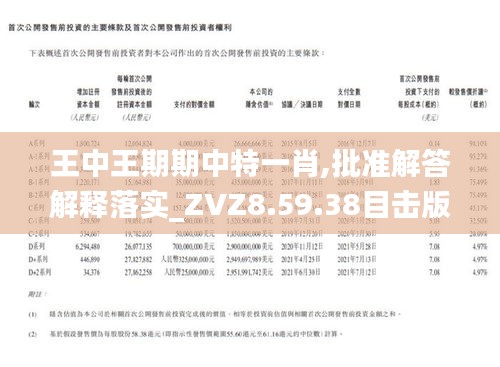 王中王一肖石準(zhǔn)，探索關(guān)鍵詞背后的故事，王中王一肖石準(zhǔn)背后的故事探索