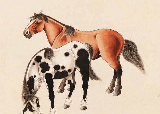 馬一王中王特平一肖圖，深度解析與SEO優(yōu)化策略，深度解析馬一王中王特平肖圖，SEO優(yōu)化策略探討