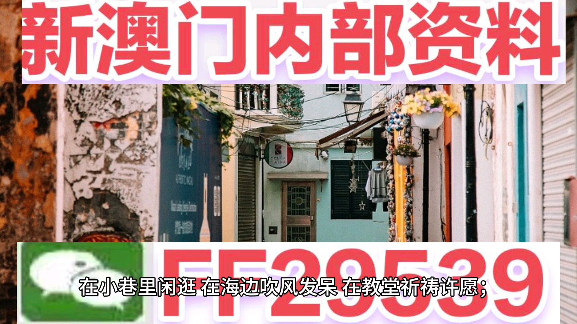 澳門資料大全——正版資料的深度探索，澳門正版資料大全，深度探索澳門資料寶庫(kù)