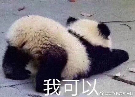 澳門四不像正版四不像網(wǎng)，探索真實與虛幻的交融之地，澳門四不像正版探索，真實與虛幻的交融世界