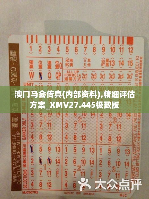 馬會(huì)傳真正版，探索正版馬會(huì)文化的魅力與價(jià)值，正版馬會(huì)文化的魅力與價(jià)值探索