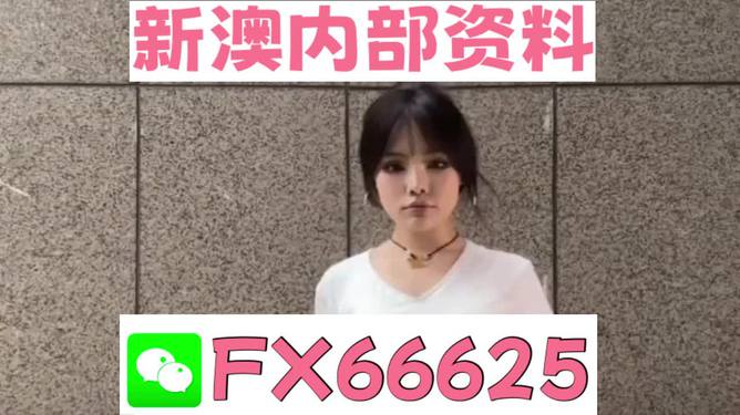 澳門正版資料大全完整版，探索與揭秘2025年澳門正版資料的世界，澳門正版資料大全揭秘，探索未來至2025年的奧秘世界