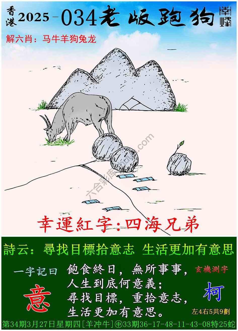 全新升級！探索7777788888新版跑狗資料，全新升級！探索跑狗資料7777788888新版揭秘