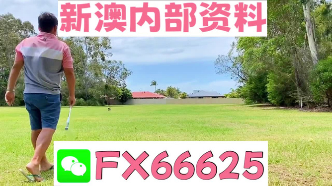王中王兩肖一碼，揭秘背后的奧秘，王中王兩肖一碼揭秘，背后的秘密與奧秘