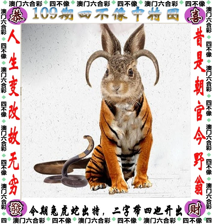 王中王四不像一肖中特，揭秘背后的奧秘與特點，揭秘王中王四不像一肖中特背后的奧秘與獨特特點