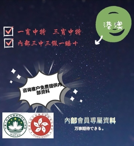 揭秘香港王中王，探尋肖中特背后的秘密，揭秘香港王中王背后的秘密與肖中特真相探索