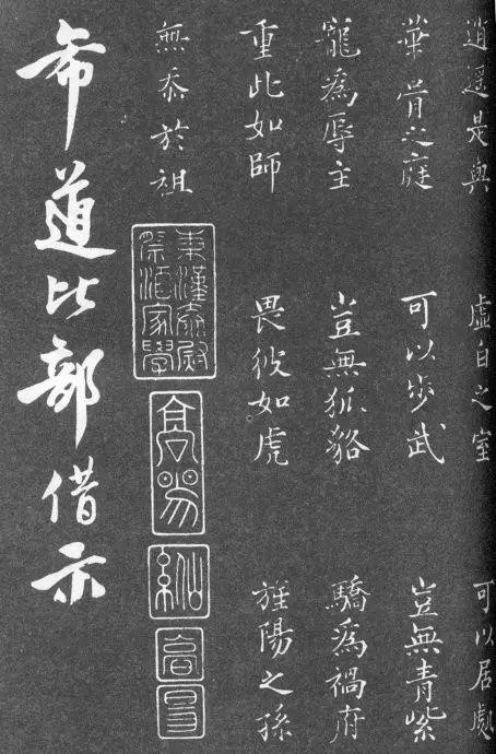 一肖二碼中特的意思解析，一肖二碼中特的意思深度解析
