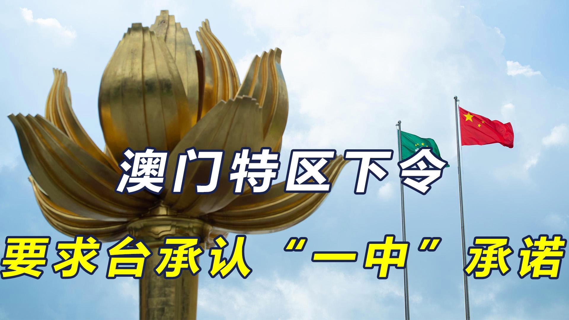 澳門一碼一肖一特一中今晚預測與探索，澳門今晚一碼一肖一特一中預測與揭秘