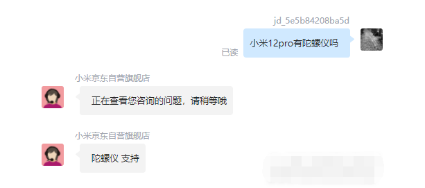 王中王一肖碼，探索關(guān)鍵詞背后的奧秘，王中王一肖碼，揭秘關(guān)鍵詞背后的奧秘