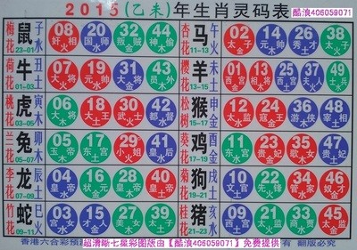 揭秘2025十二生肖與數(shù)字彩票的神奇聯(lián)系——49碼表全解析，揭秘十二生肖與數(shù)字彩票的神秘聯(lián)系，2025年49碼表深度解析