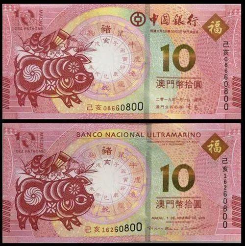 澳門天天彩期期精準(zhǔn)十二生肖預(yù)測——揭秘彩票背后的秘密，澳門天天彩期期精準(zhǔn)十二生肖預(yù)測，彩票背后的秘密大揭秘