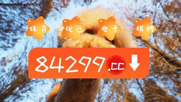 今期必中一肖一碼白小姐，揭秘彩票背后的秘密與策略，揭秘彩票背后的秘密與策略，白小姐今期必中一肖一碼解析