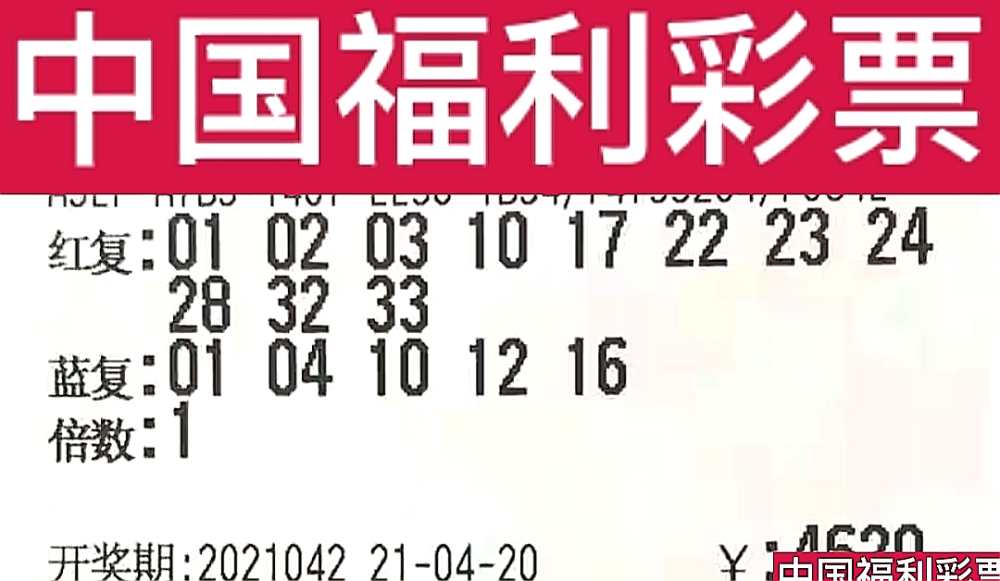 新奧門(mén)今晚開(kāi)獎(jiǎng)結(jié)果查詢(xún)第243期，全面解析與預(yù)測(cè)，新奧門(mén)第243期開(kāi)獎(jiǎng)結(jié)果解析與預(yù)測(cè)，今晚開(kāi)獎(jiǎng)揭秘