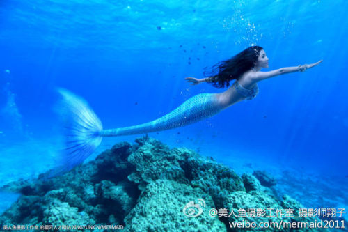 澳門(mén)美人魚(yú)最快開(kāi)獎(jiǎng)結(jié)果圖——揭秘?zé)衢T(mén)彩票游戲背后的秘密，澳門(mén)美人魚(yú)彩票開(kāi)獎(jiǎng)揭秘，最新結(jié)果圖與游戲背后秘密探索