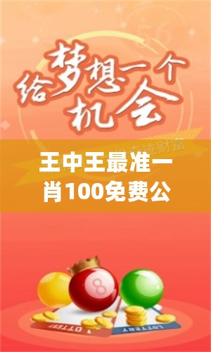 王中王一肖一嗎期期中，深度解析與探索，王中王一肖一，深度解析與探索期中的奧秘