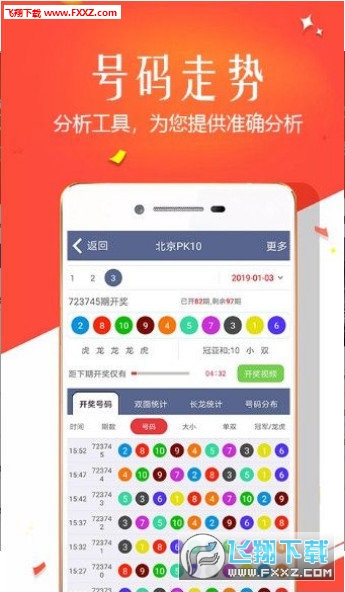 王中王四肖選一，揭秘選擇與優(yōu)化策略，王中王四肖選一，選擇與優(yōu)化策略的揭秘