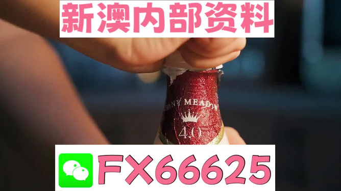 新澳門一碼一碼，揭秘精準預(yù)測的秘密與真相，揭秘澳門一碼一碼精準預(yù)測的秘密與真相