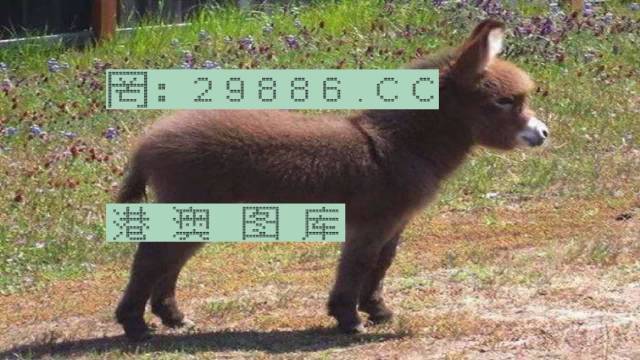 財(cái)經(jīng) 第110頁