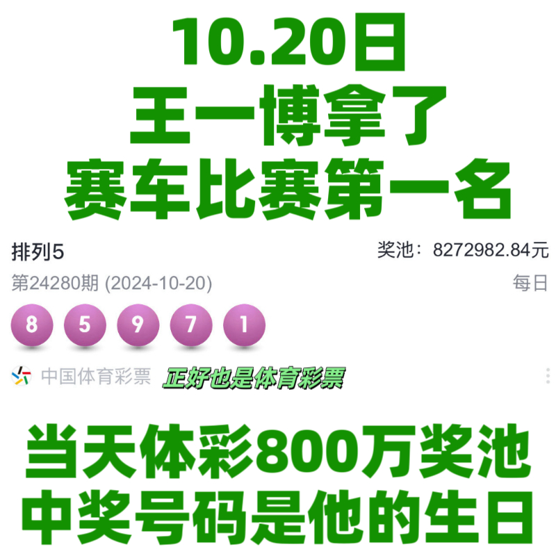 王中王一肖資料中特馬——深度解析與SEO洞察，王中王一肖特馬深度解析與SEO洞察揭秘