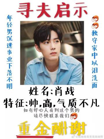 一肖一碼一一肖一子善，探尋命運密碼與智慧之光的完美結(jié)合，命運密碼與智慧之光，一肖一碼一一肖一子善的探尋