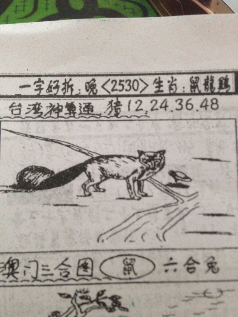 揭秘生肖奧秘，看圖猜一生肖劉伯溫的傳奇故事，揭秘生肖奧秘，劉伯溫傳奇故事中的生肖之謎探索
